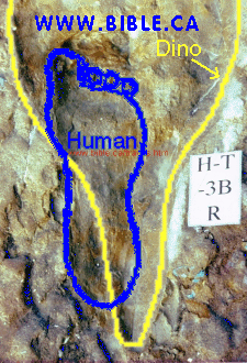 human footprints on the